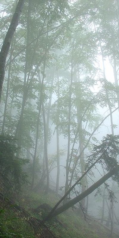 800px mount olympos prionia 20070922